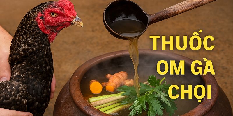 Tìm hiểu cách om gà chọi cực chuẩn